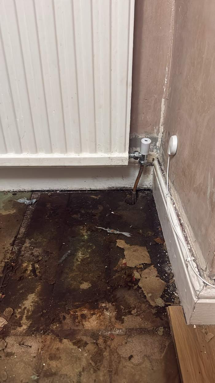 Water damaged floorboards found beneath a leaking radiator valve